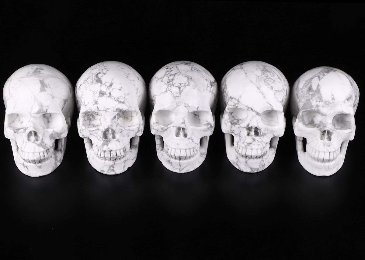 Skullis 5.0" Howlite Crystal Skull, Hand Carved Gemstone Fine Art Sculpture, Reiki Healing Stone Statue.
