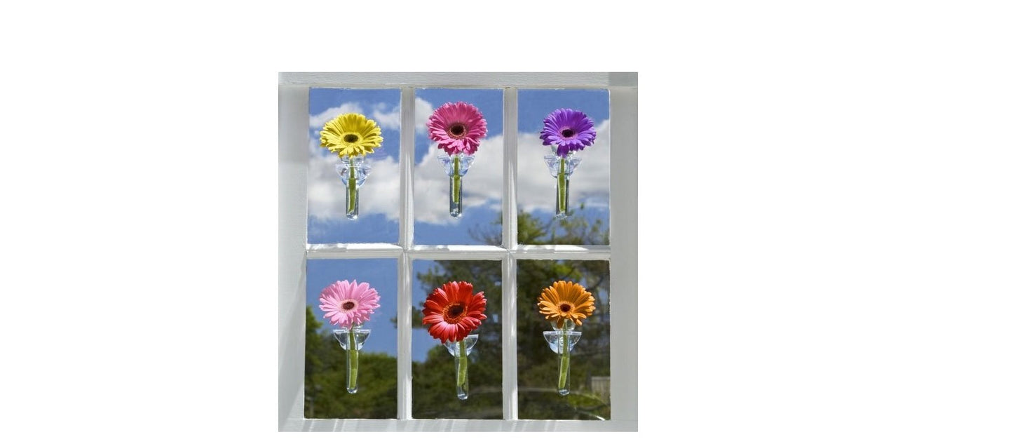Two's Company Wall Flower, Hanging Bud Vase