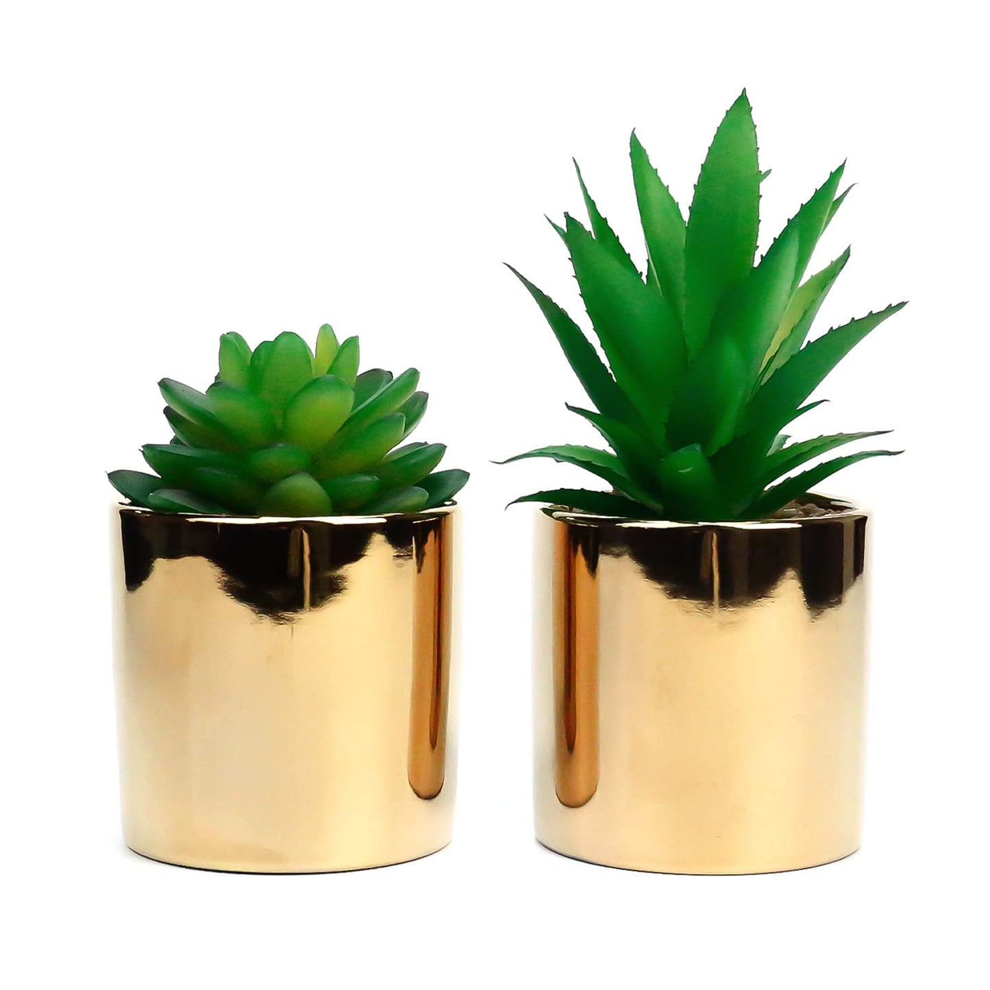 SasaAccueil Faux Succulent Artificial Plants 7'' & 5'' in Pots Home Decoration Set of 2 Gold Pots