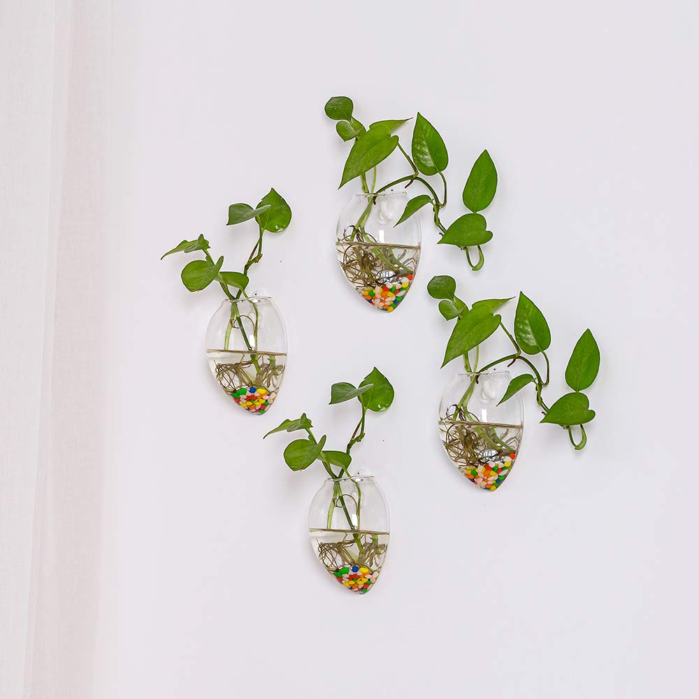 NUPTIO Hanging Planter Wall Terrarium: Glass Plant Holder 4 PCS Water Planting Vases Succulents Container Hydroponics Pots Clear Propagation Station Airplant Display for Office Home Living Room Gifts