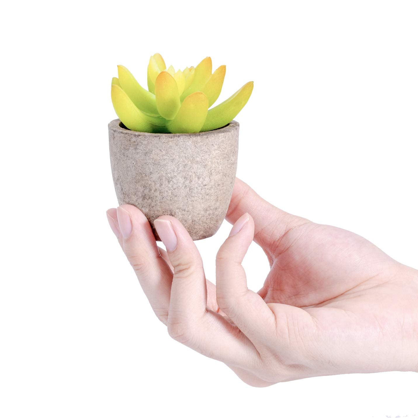T4U Artificial Succulent Plants in Pot