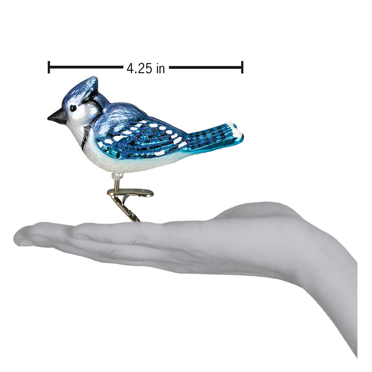 Old World Christmas Ornaments: Bird Watcher Collection Glass Blown Ornaments for Christmas Tree,Bright Blue Jay
