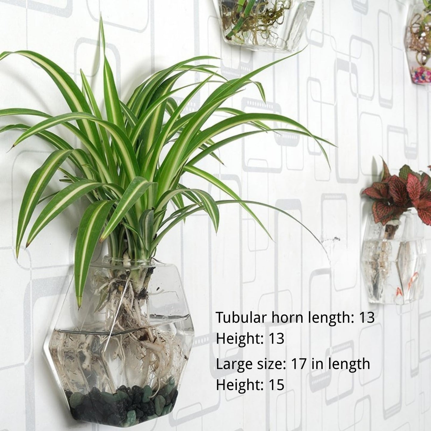 Boxonly Wall-Mounted Acrylic Planter for Hydroponic Plants – Hexagonal Vase Large, Modern Transparent Design for Home & Office Decoration