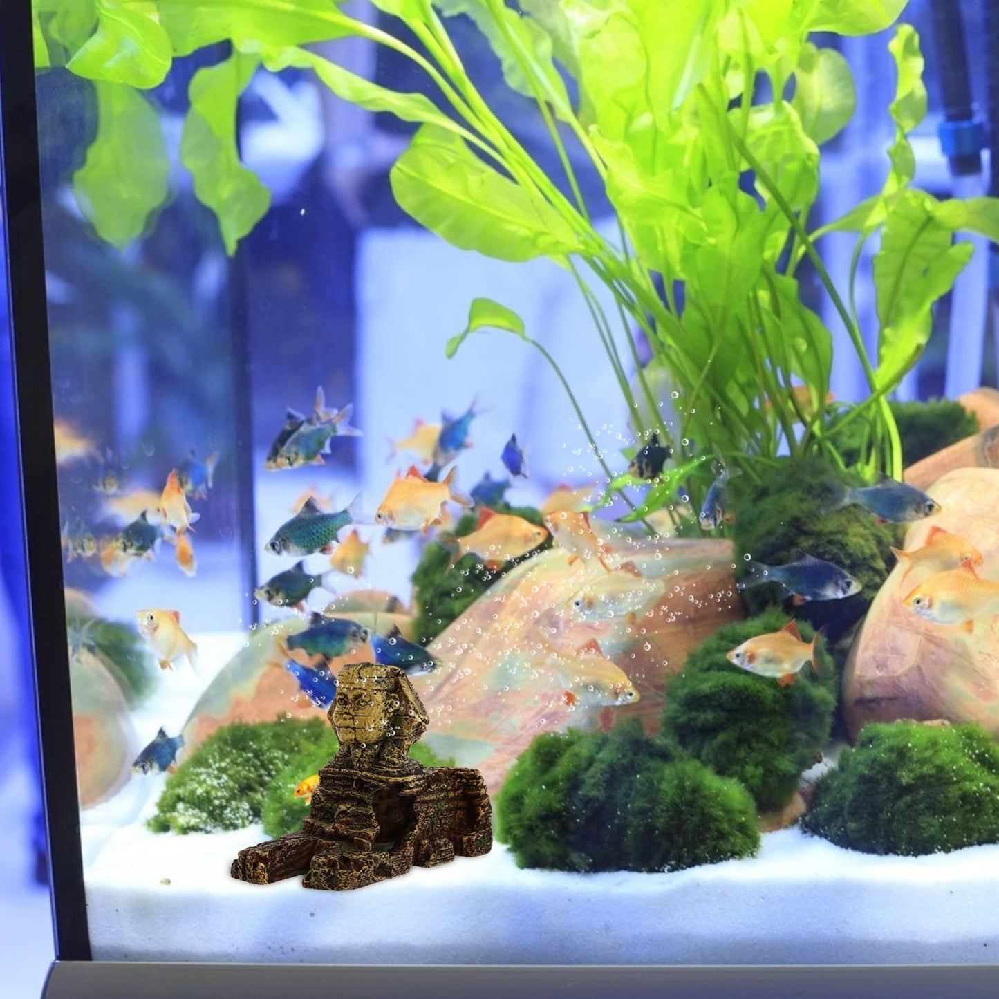 balacoo Aquarium Sphinx Statue Ornament 8.26X3.54X5.51In Golden Resin Egyptian Fish Tank Decor for Freshwater Saltwater Landscaping Betta Hides Desktop Decoration
