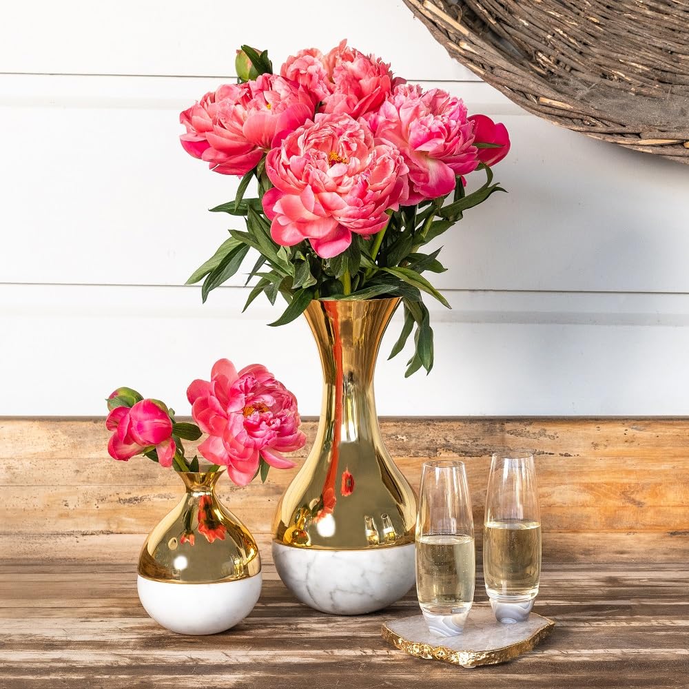 Anna New York Dual Vase: Carrara Gold