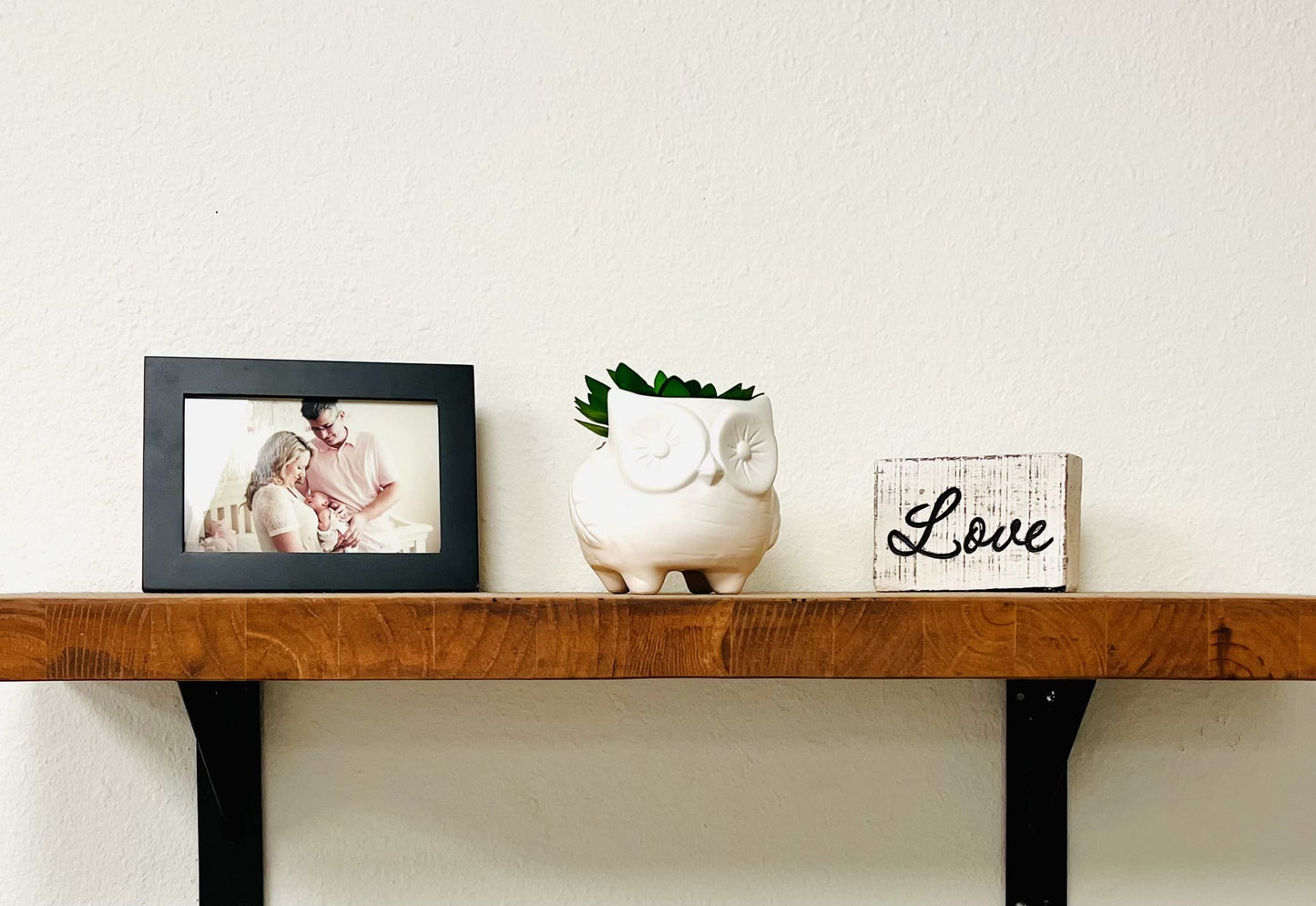 Nature's Mark 3.9" H Succulent in Owl White Ceramic Planter, Modern and Simple Stylish Design Artificial Plants