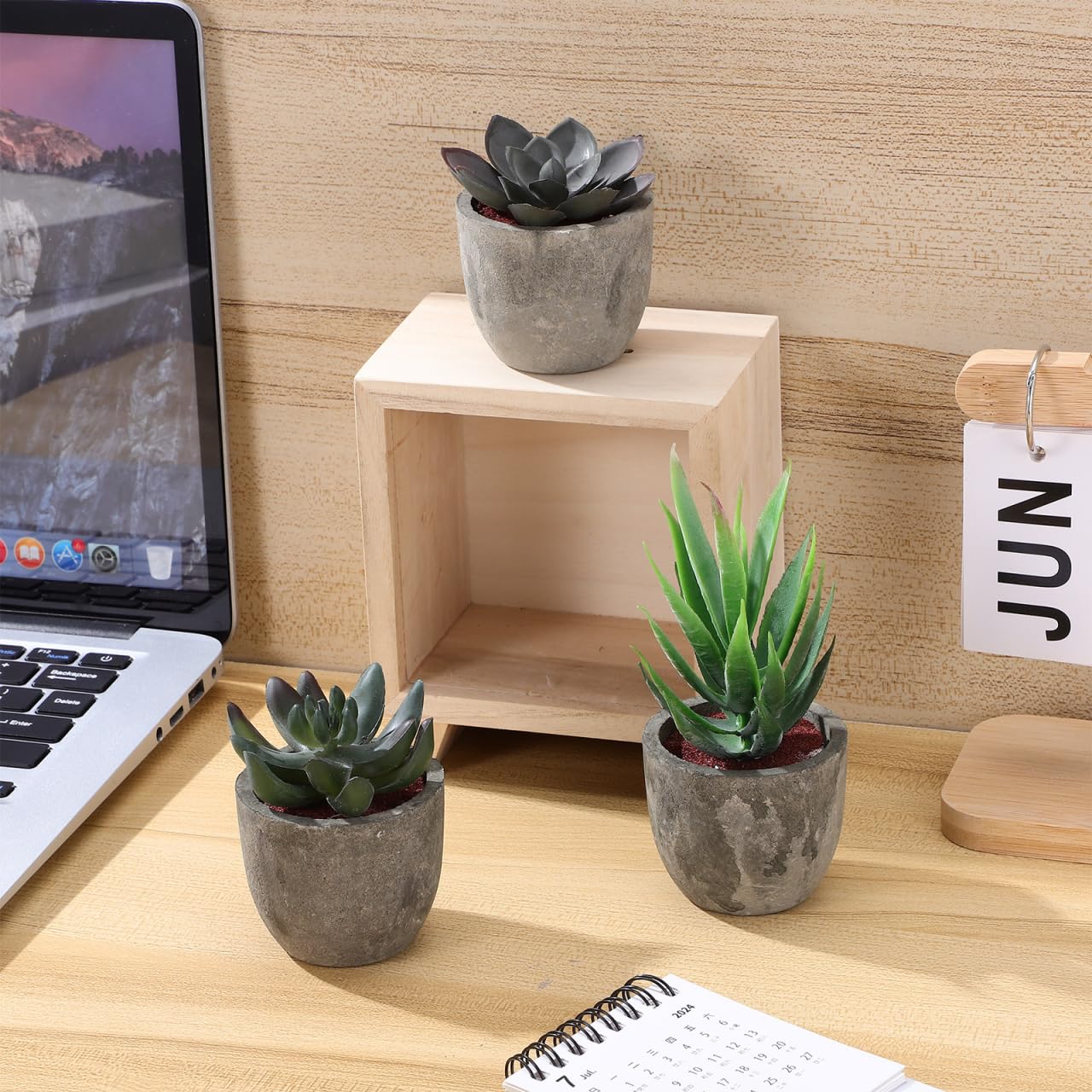 3pcs Faux Succulent Bonsai Cactus Plant Pot Flower Pot Container Plant Bonsai Artificial Simulation Plants with Pots, Gife Idea Decorative