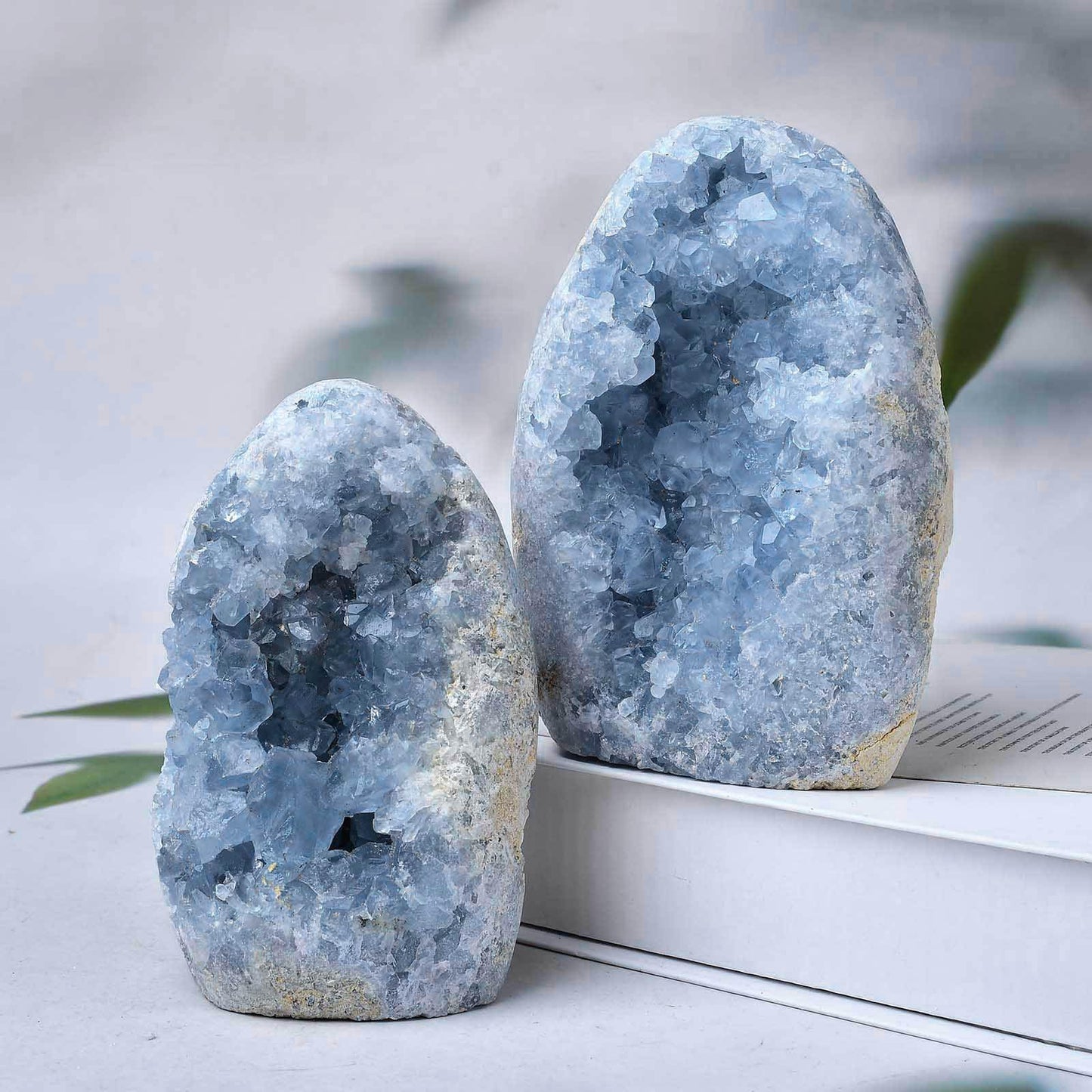 FZBHRO Natural Blue Celestite Cluster Geode Healing Crystal Stone Collection Mineral Specimen Home Office Decor Meditation Gifts 0.8-1.3 Pound