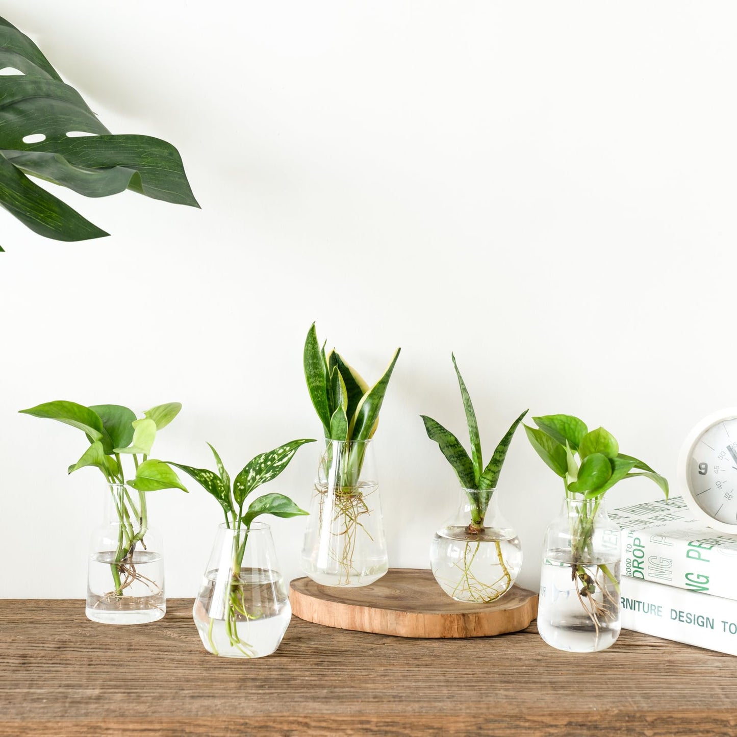 Mkono Propagation Station Wall Planter Hanging Glass Tubes Flower Vase Set