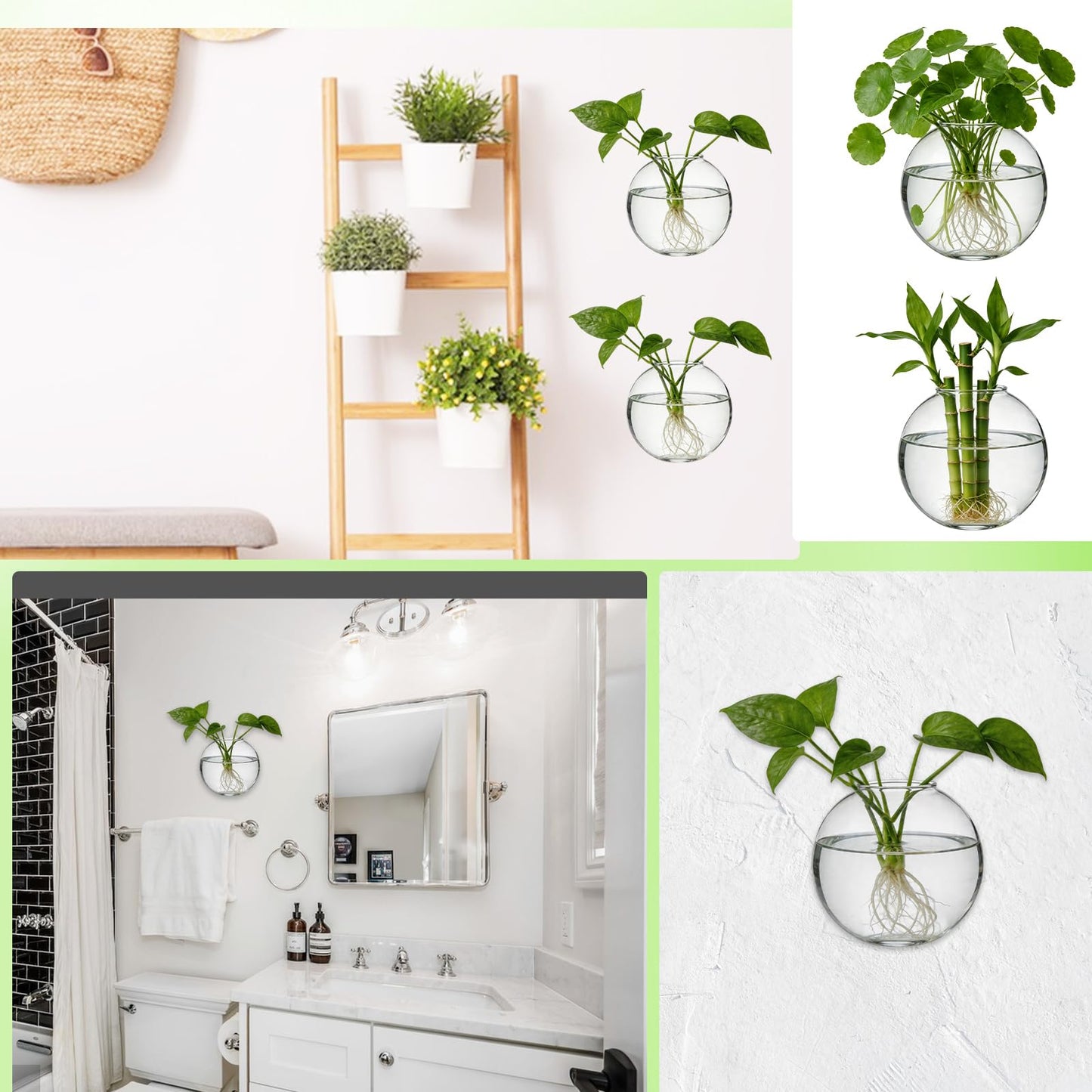 LOLYSIC 8PCS Wall Mounted Vase, Glass Wall Vase Propagation Wallmount Hanging Planters for Hydroponics with Traceless Nails for Home Office Living Room