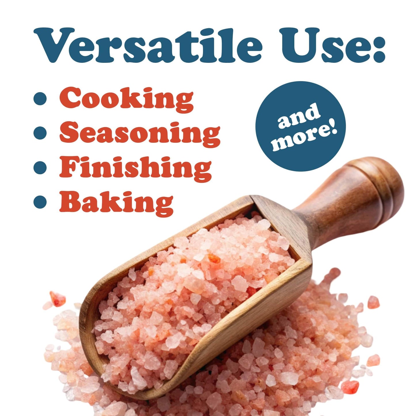 Food to Live Himalayan Pink Salt, 10 Pounds – Coarse Grain, No Additives, No Preservatives, Vegan, Kosher, Bulk. Packed with Minerals. Perfect Seasoning. Suitable for Grinders, Salt Mills.