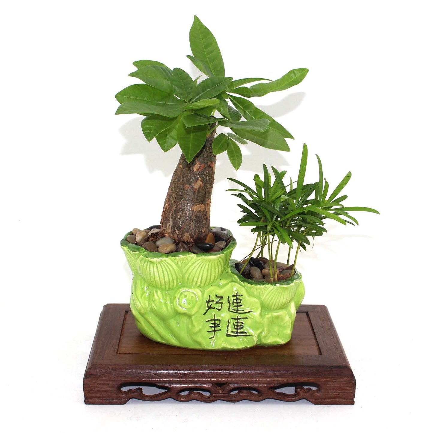 GOLDY&WENDY Rectangular Wooden Base Solid Wood Carved Teapot Pot Plant Table Lamp Fish Tank Display Stand Home Decor Pedestal