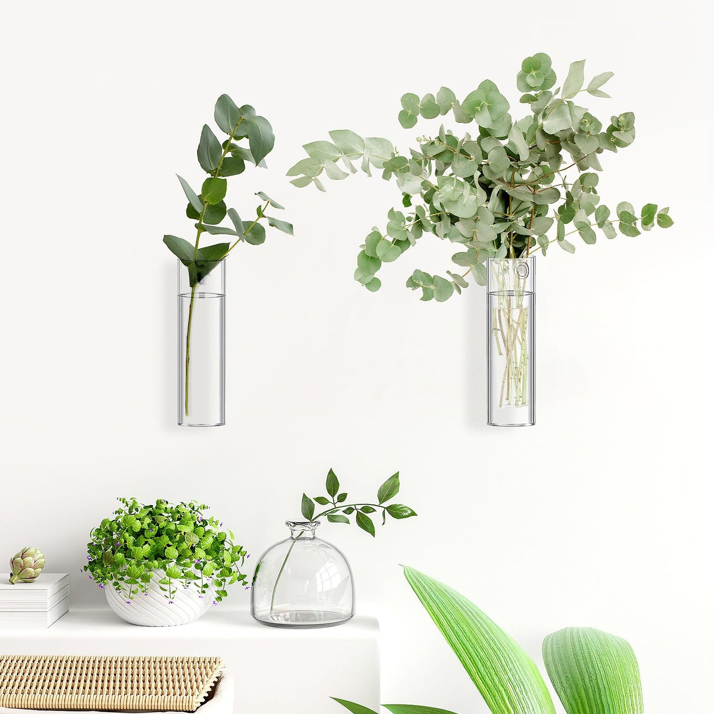 2 Pack Wall Mounted Glass Vase Set with Hooks High Borosilicate Transparent Hanging Flower Vase for Home Decor Dining Table