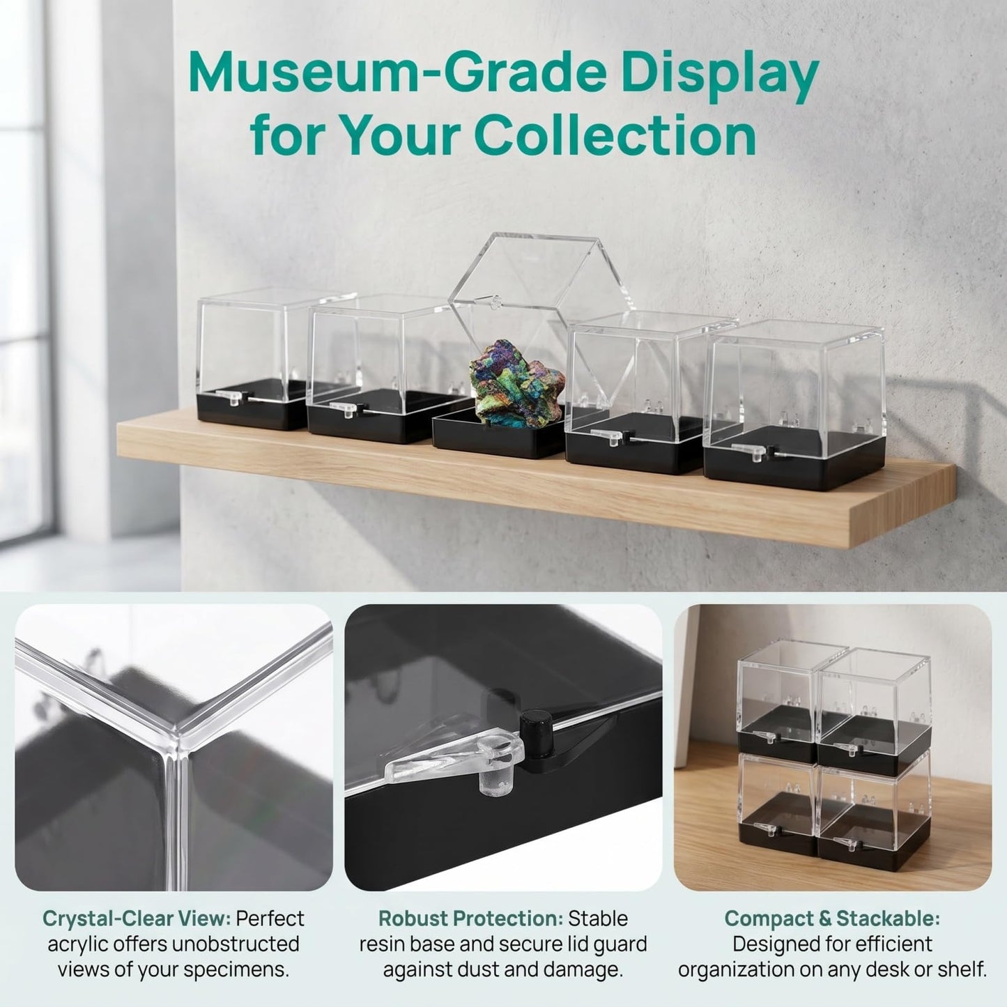 Cabilock 48 Pcs Mineral Specimen Rock Display Case Storage Boxes with Lids 5.51X1.37X1.37In Clear Display Cases for Rock Crystal Collection Organizing and Science Education
