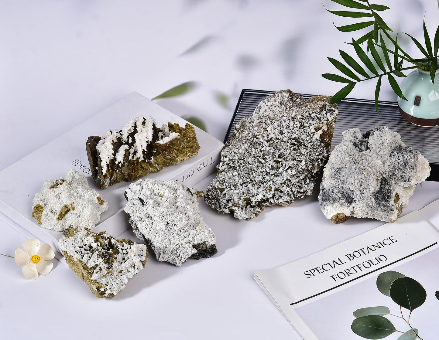 AMOYSTONE Student Mineral Specimen Siderite Crystal Specimen Healing Crystal Ore Geography Rocks Grey-White, Home Office Table Decorative Kids Room (7-10.5 oz/pc with Rack)