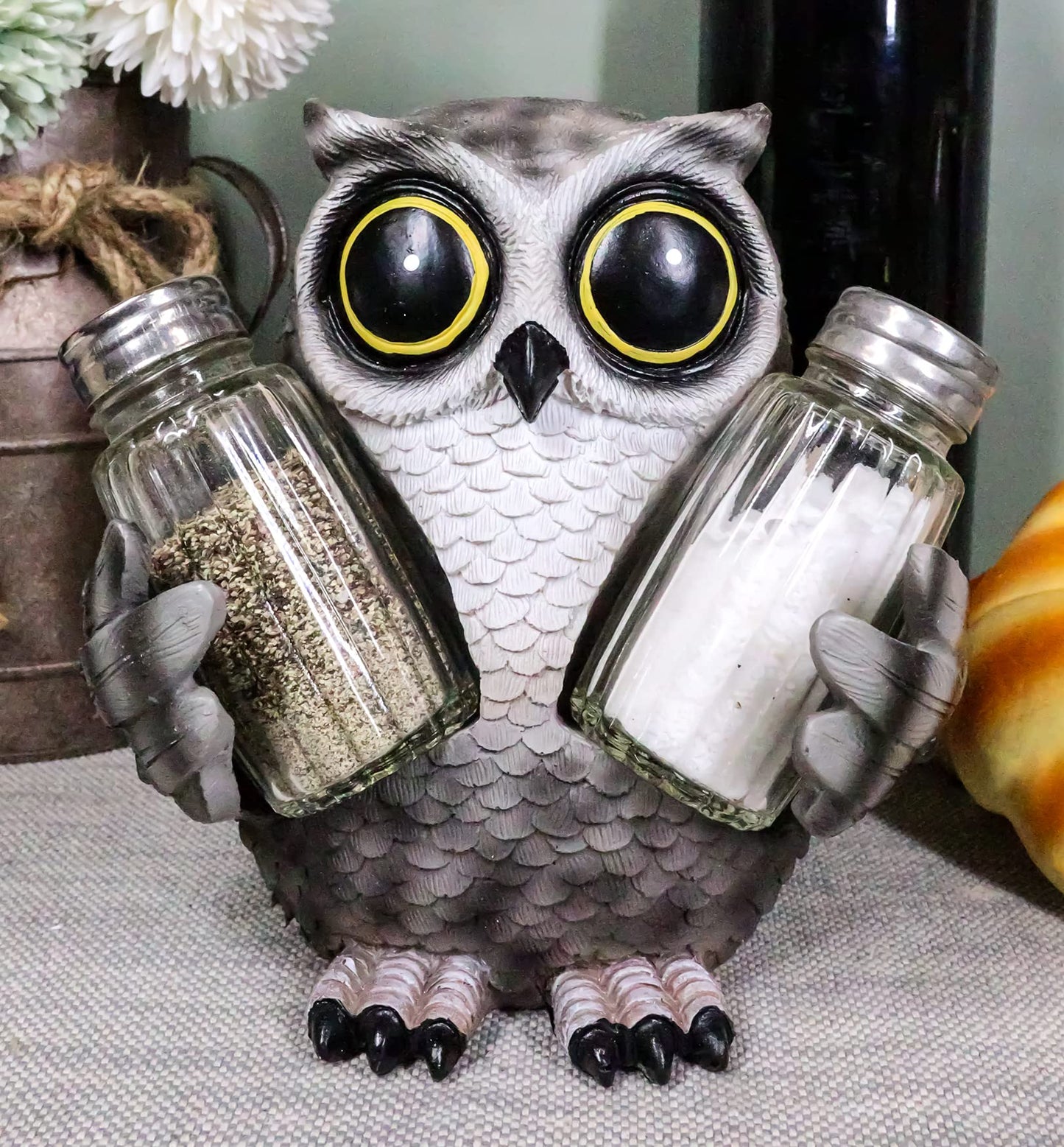 Ebros Gift Whimsical Owlet Baby Owl With Big Round Eyes Glass Salt And Pepper Shakers Holder Display Figurine Set 6" Tall Wildlife Whispering Forest Spirit Nocturnal Birds Sculpture Home Decor Accent