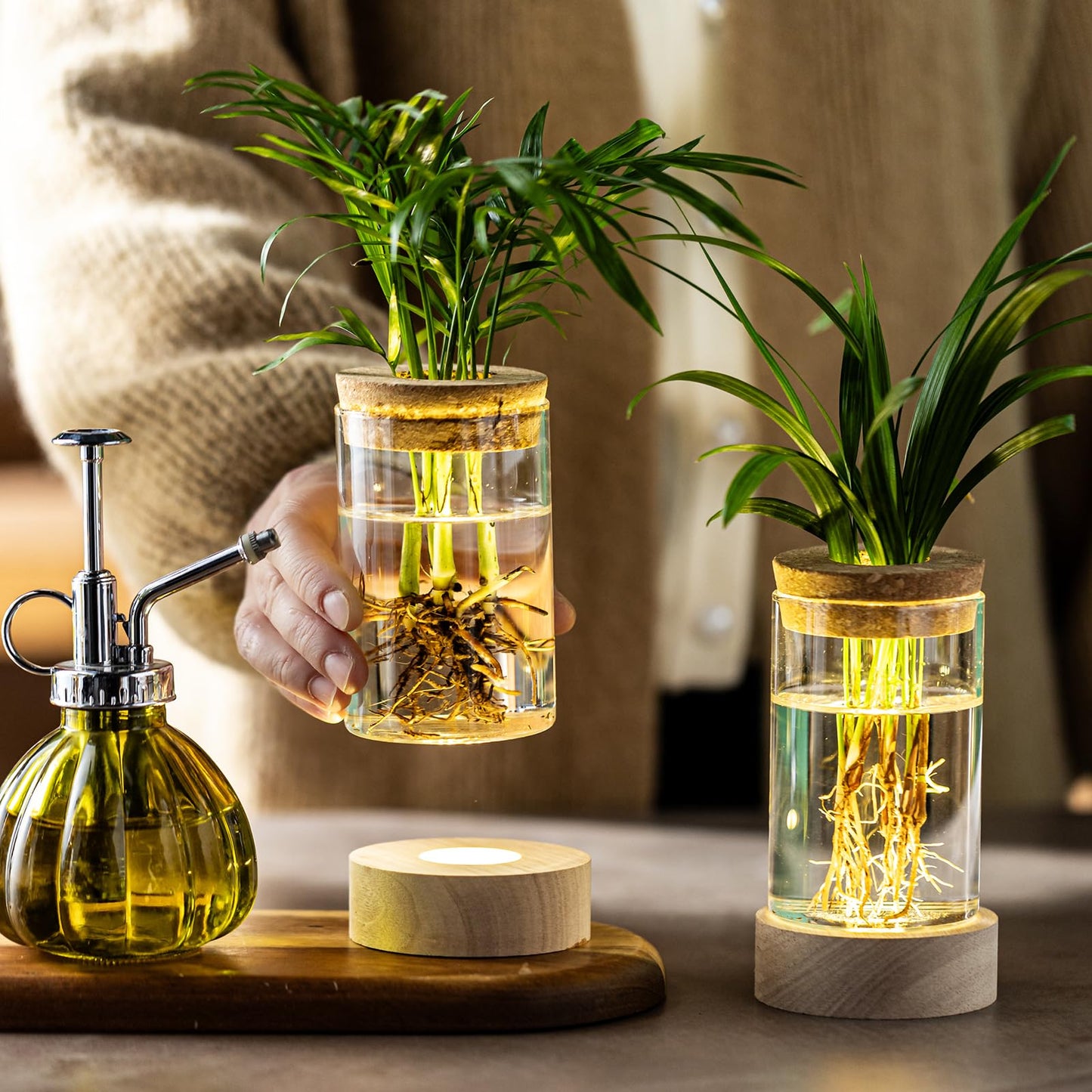 Glass Plant Propagation Stations, Propagation Vases for Plants with Ambient Light Base, Hydroponic Vase for Home & Office Windowsill Tabletop Decoration Desktop Vases for Living Room, Bedroom (2)