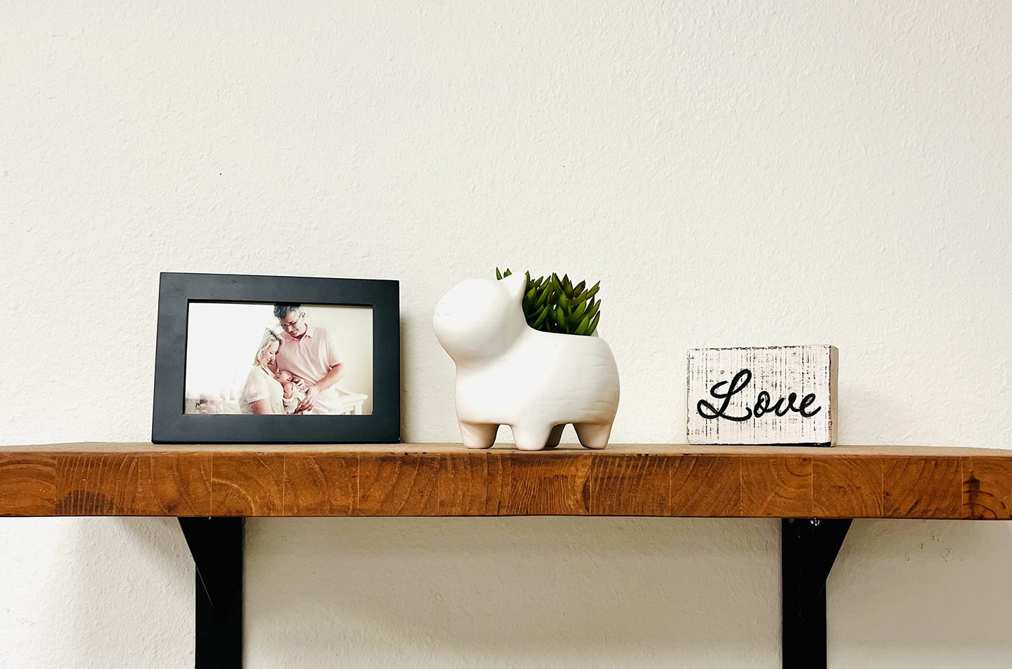 Nature's Mark 4.7" H Succulent in Cat White Ceramic Planter, Modern and Simple Stylish Design Artificial Plants