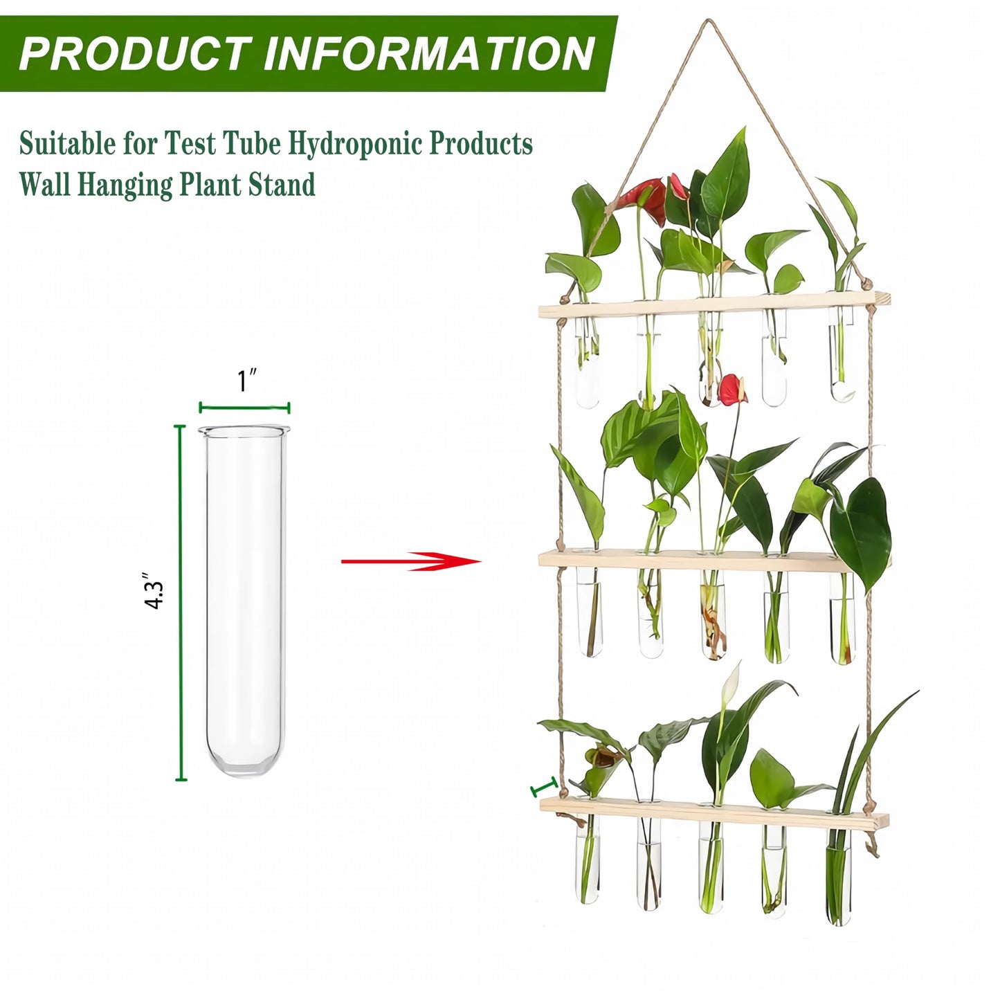 Kingbuy 5 Pack Glass Test Tube Planter, Wall Hydroponic Propagation Vases