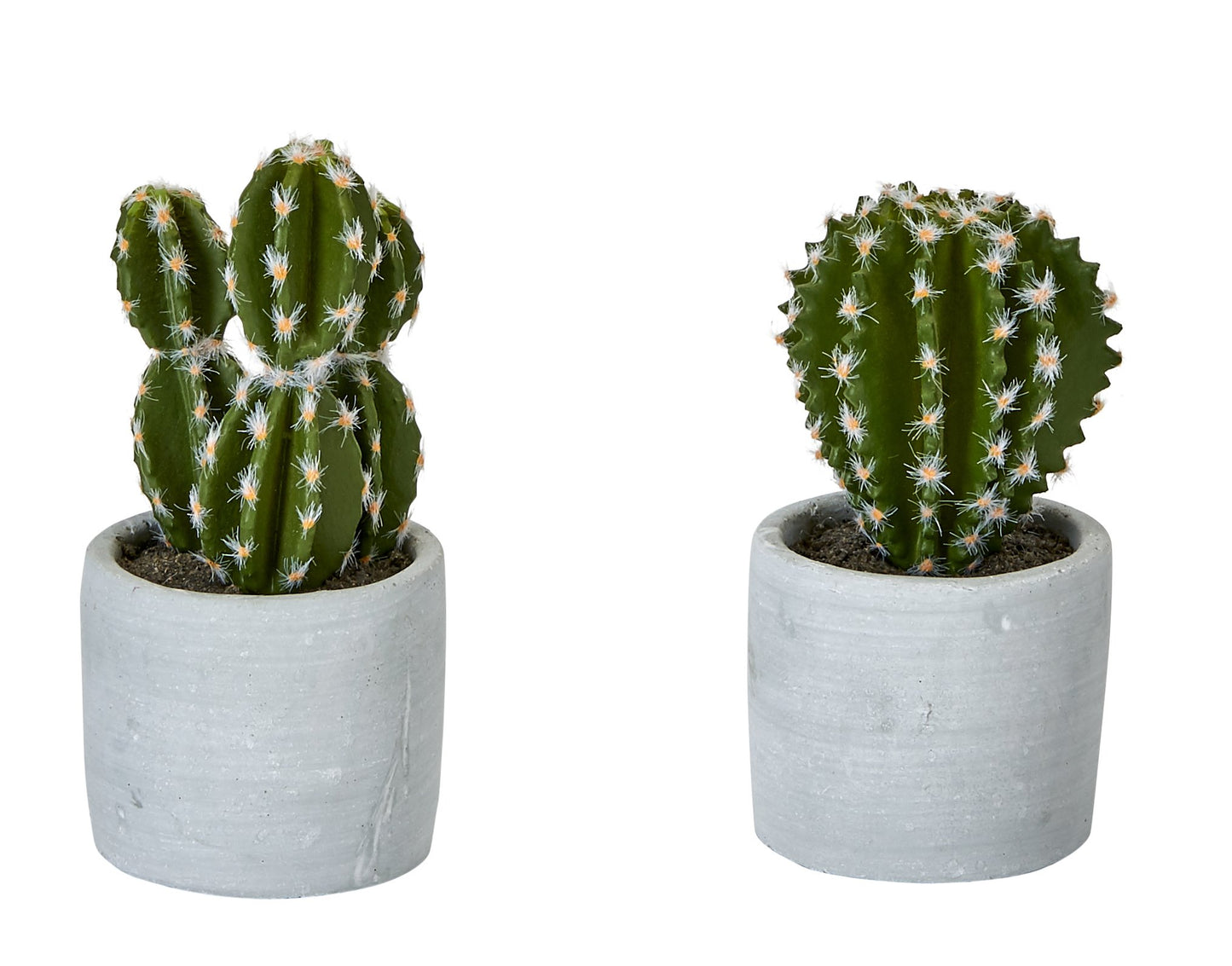 Worth Imports Artificial Cactus in 2.5" Diameter Cement Pot