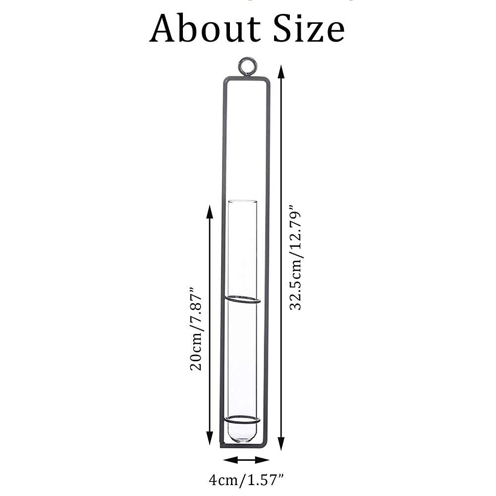 Sziqiqi Hanging Clear Glass Propagation Tube Vase for Cuttings, Hydroponic Plant Propagation Home Balcony Floral Container Wall Decoration Black 2ps (L+L)