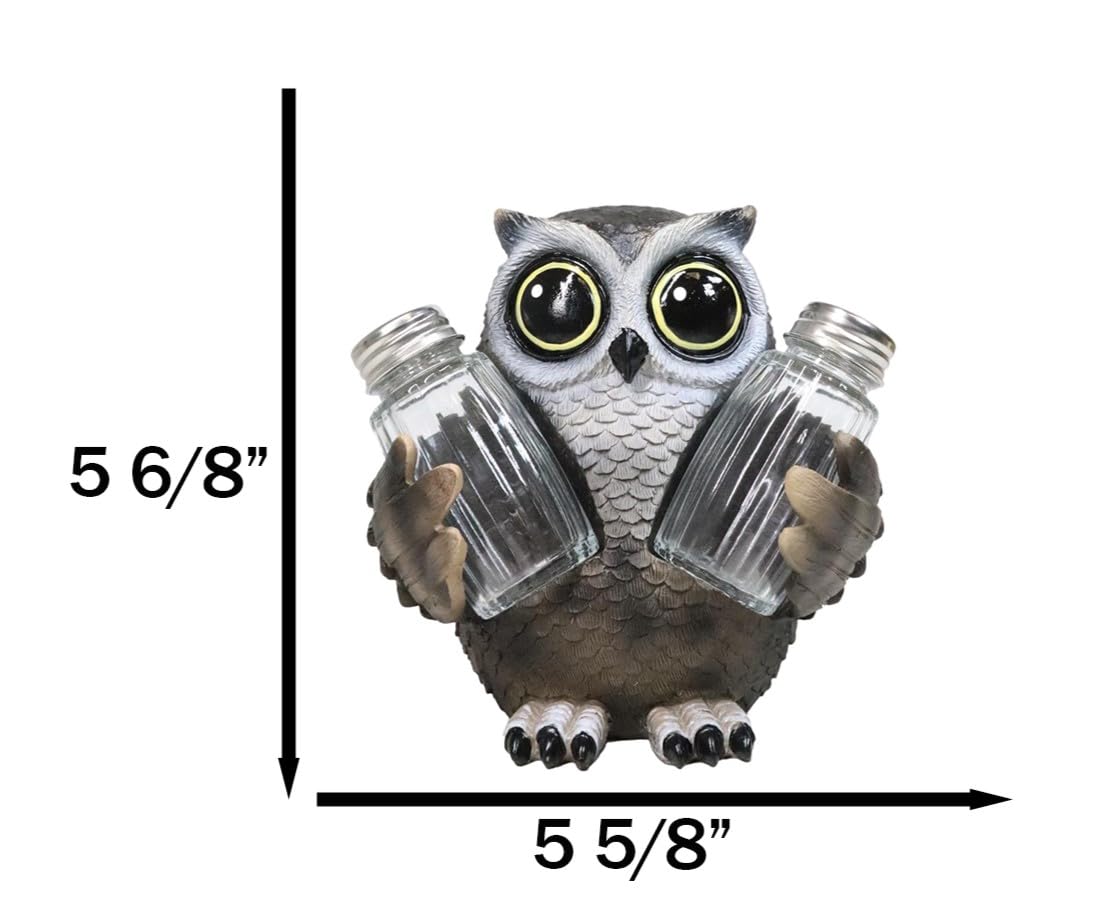 Ebros Gift Whimsical Owlet Baby Owl With Big Round Eyes Glass Salt And Pepper Shakers Holder Display Figurine Set 6" Tall Wildlife Whispering Forest Spirit Nocturnal Birds Sculpture Home Decor Accent
