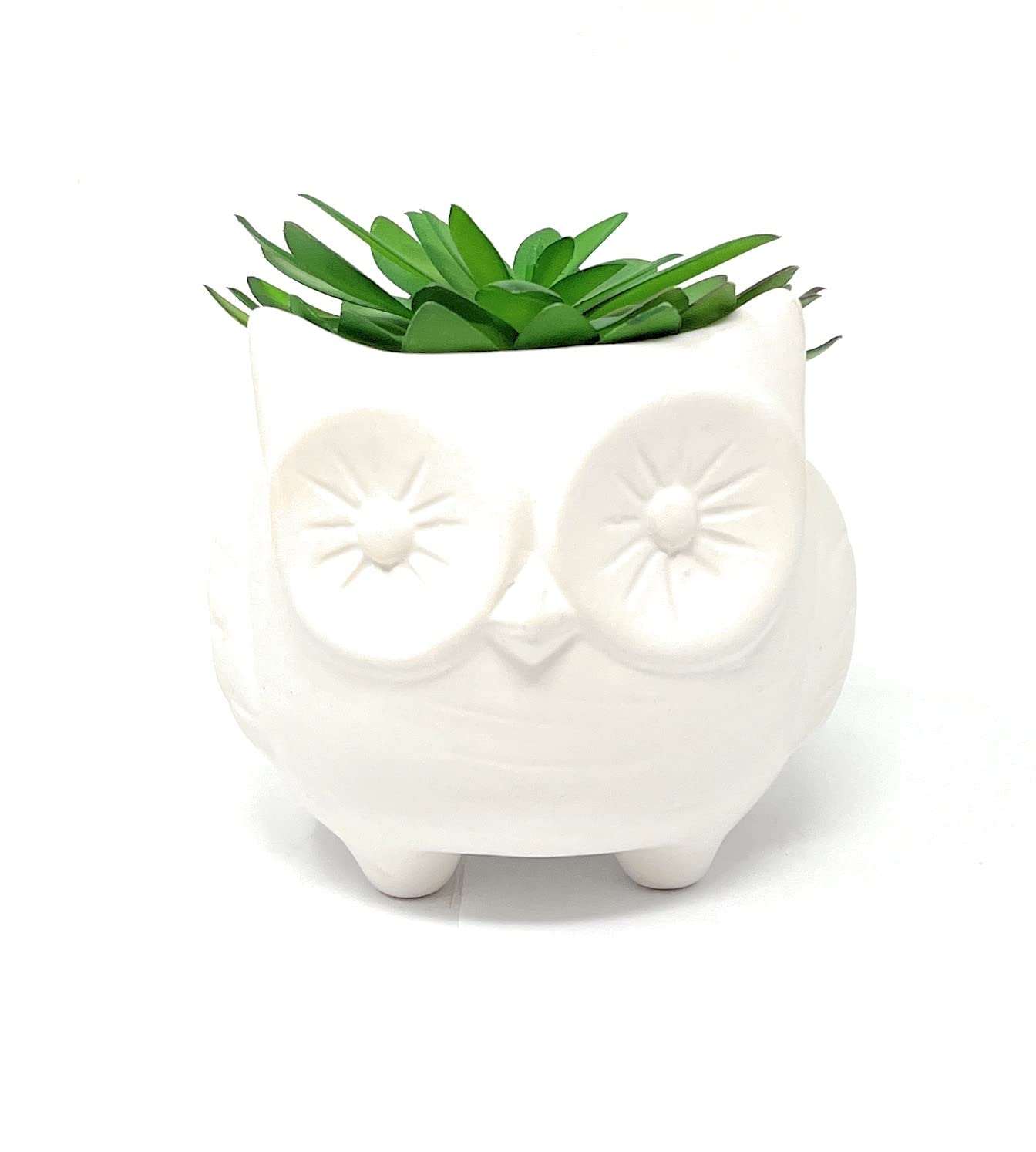 Nature's Mark 3.9" H Succulent in Owl White Ceramic Planter, Modern and Simple Stylish Design Artificial Plants