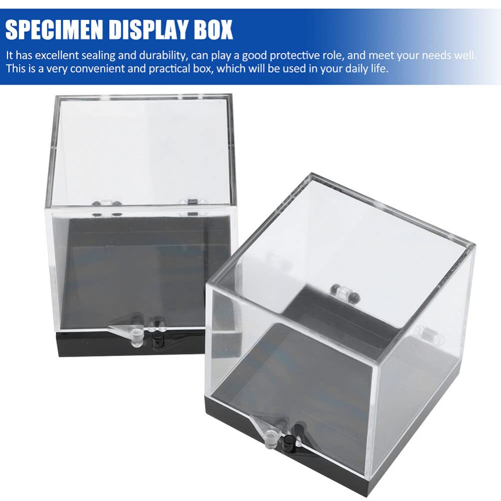 DOITOOL 12 Pack Mineral Specimen Storage Boxes Clear Plastic Specimen Display Cases 1.37 Inch Square Rock Display Containers for Home Collecting and Scientific Use