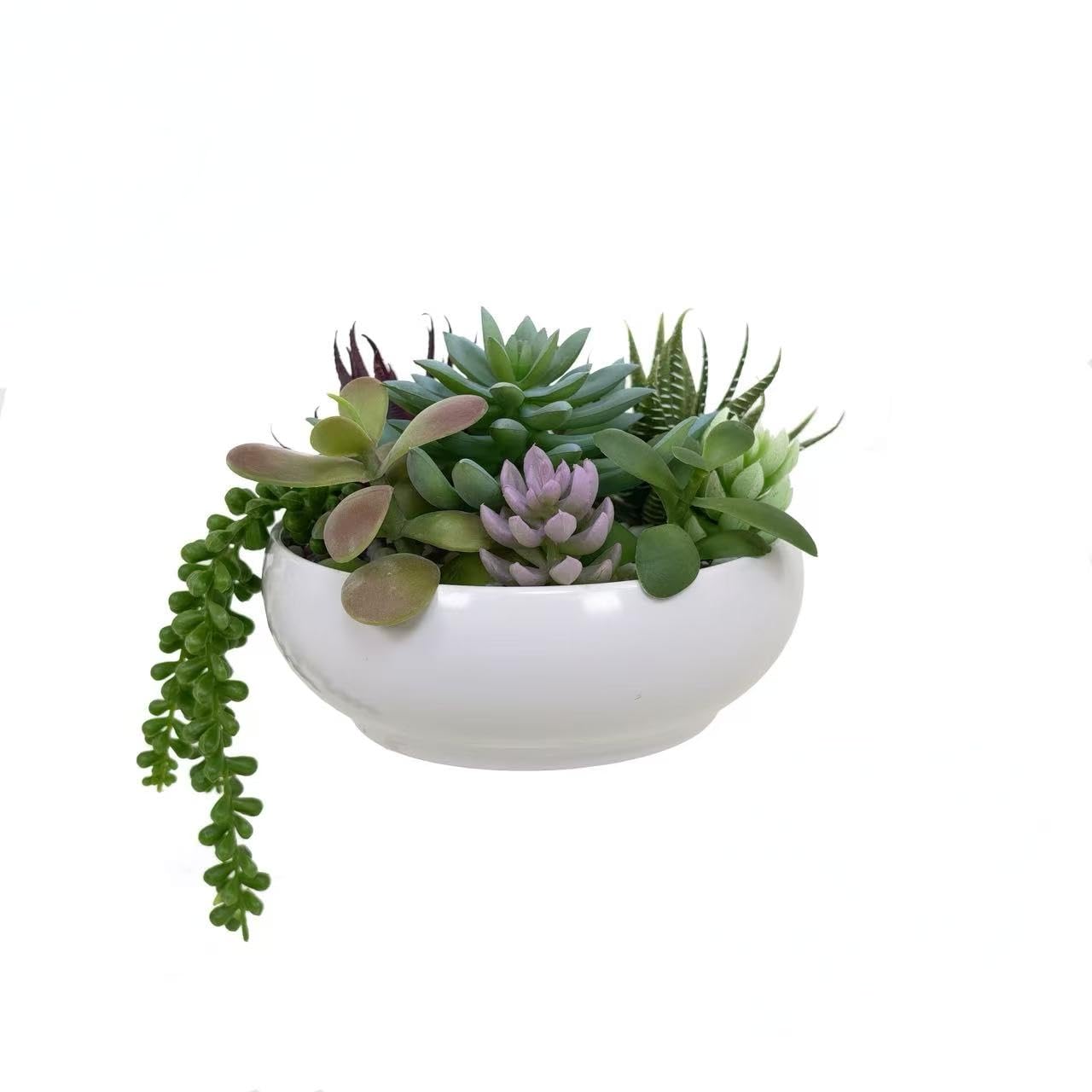 365 Blooming Decor 8.0” Round Artificial Succulent Arrangement in White Melamine Bowl, Realistic Mixed Faux Succulents with Natural Pebbles, Lifelike Touch, Indoor Tabletop Decor for Home & Office