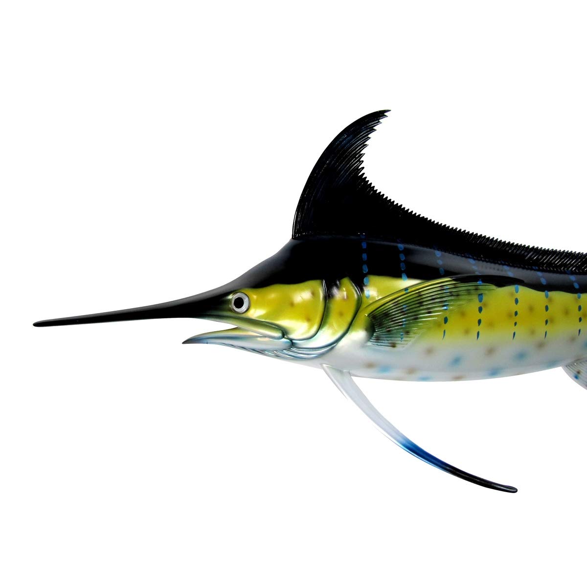 TG,LLC 48" Lifelike Wall Mount Marlin Tropical Saltwater Fish Hand Painted Taxidermy Trophy