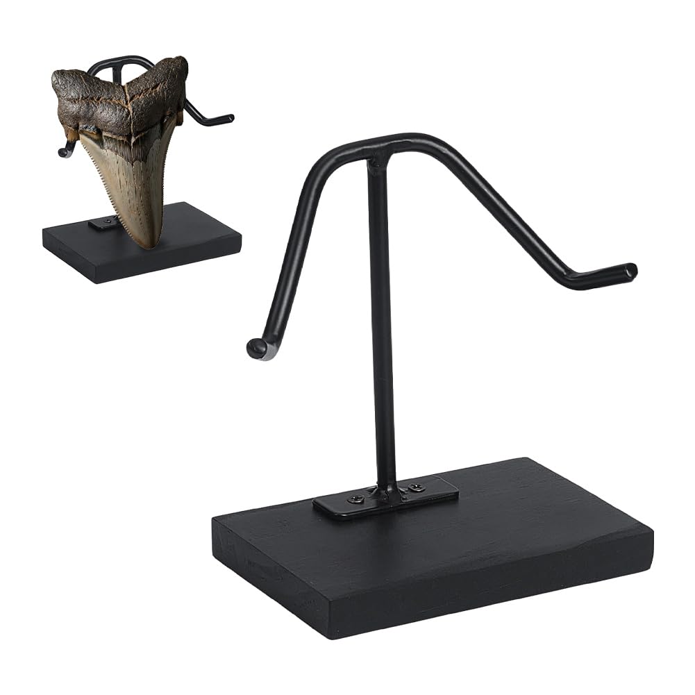 NBEADS 1 Pc Shark Tooth Display Stand, Metal Arm with Pinewood Base Shark Tooth Holder, Decorative Display Easel for Megalodon Shark Tooth Fossils Minerals Crystals Agate, 3.98x2.48x4.53 Inch