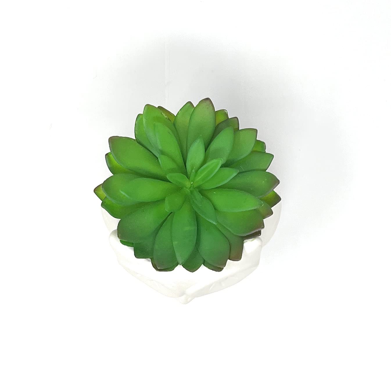 Nature's Mark 3.9" H Succulent in Owl White Ceramic Planter, Modern and Simple Stylish Design Artificial Plants