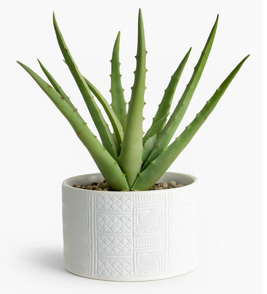 Kurrajong Farmhouse Artificial Plant in White Ceramic Pot | 10" high sage Green Faux Agave Plant | Fake Plant for Desk Decor | Artificial Agave for Home Decor | Artificial Succulent for Shelf Decor