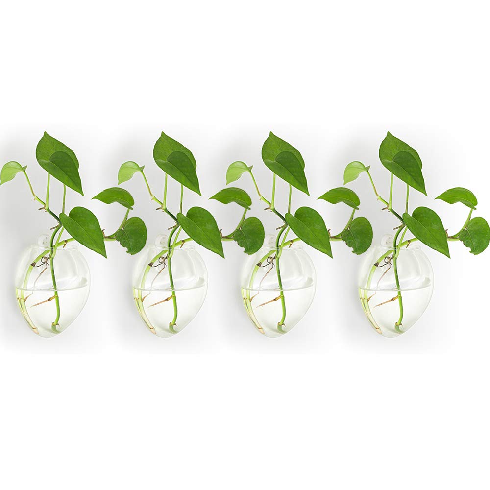 NUPTIO Hanging Planter Wall Terrarium: Glass Plant Holder 4 PCS Water Planting Vases Succulents Container Hydroponics Pots Clear Propagation Station Airplant Display for Office Home Living Room Gifts