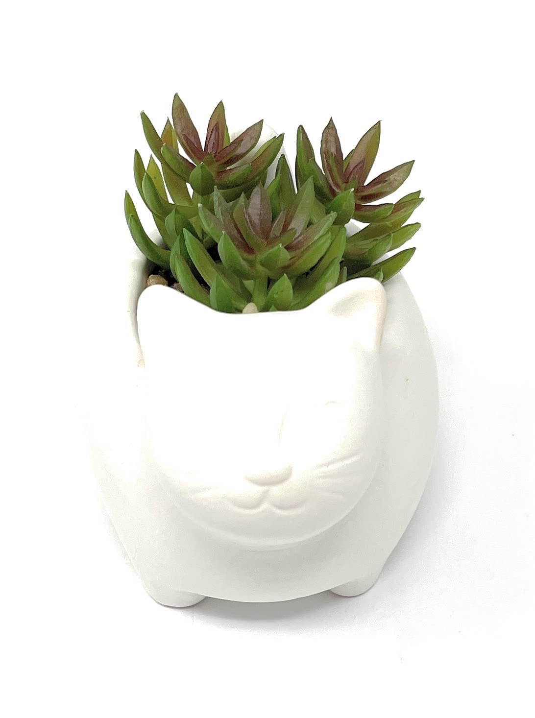Nature's Mark 4.7" H Succulent in Cat White Ceramic Planter, Modern and Simple Stylish Design Artificial Plants