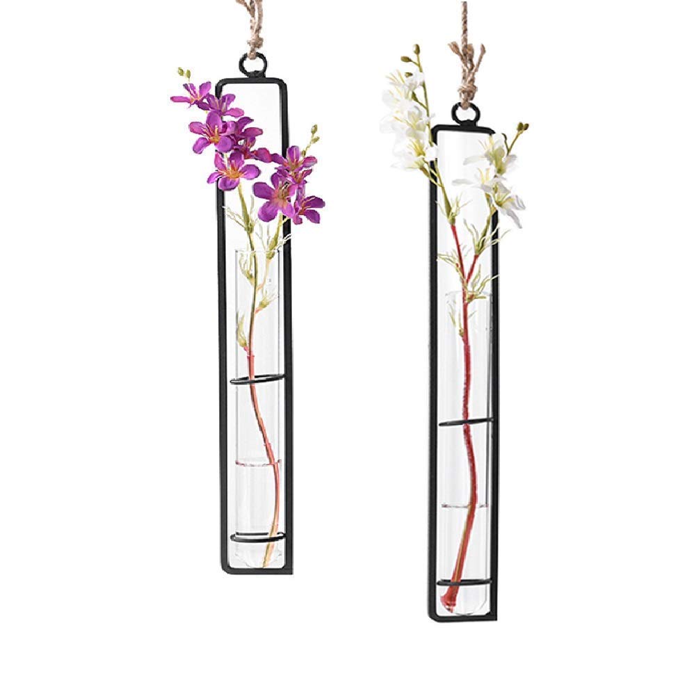 Sziqiqi Hanging Clear Glass Propagation Tube Vase for Cuttings, Hydroponic Plant Propagation Home Balcony Floral Container Wall Decoration Black 2ps (L+L)