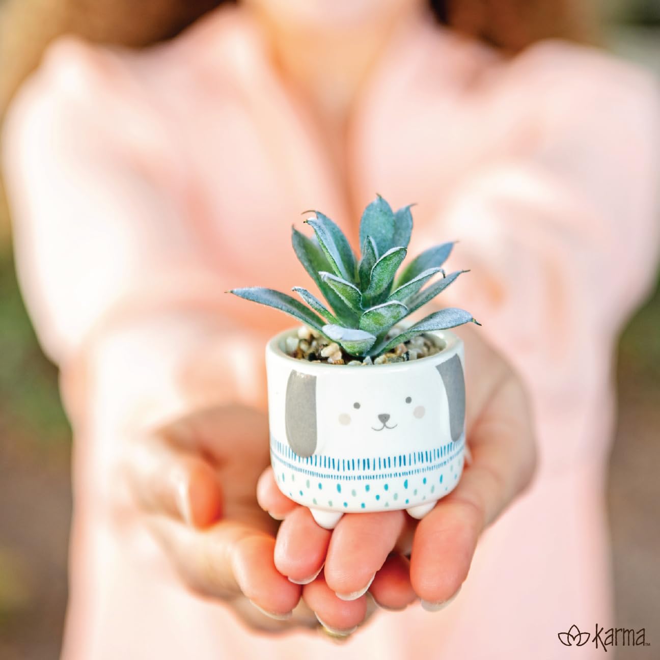Karma, Shaped Succulent Pot, Artificial Faux Mini Succulents in Ceramic Pot, Desk Decor, Office Plants, Snail