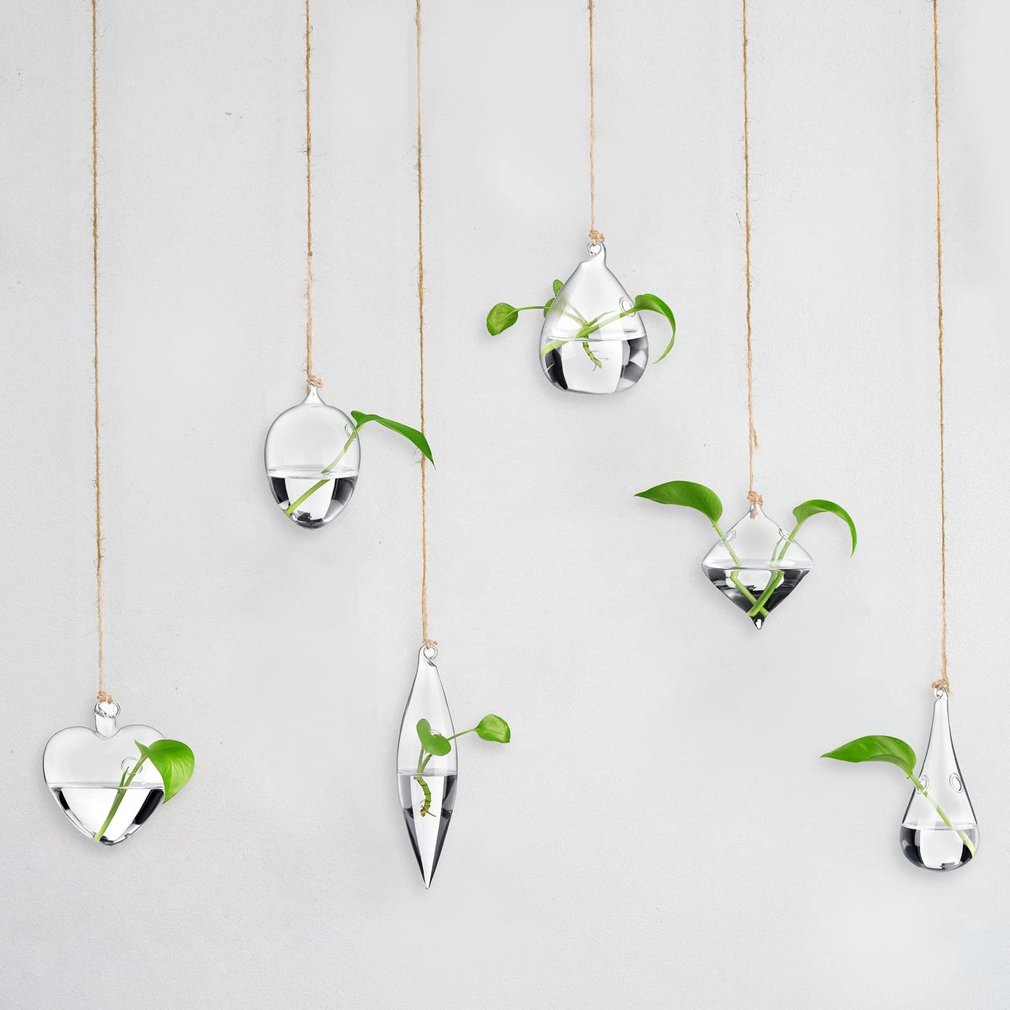 Zopeal 12 Set Wall Hanging Glass Planter Terrarium Propagation Station Vase Container Watering Squeeze Bottle with Rope and Hook for Hydroponic Plants Flower Home Decor Gifts (Classic Style)