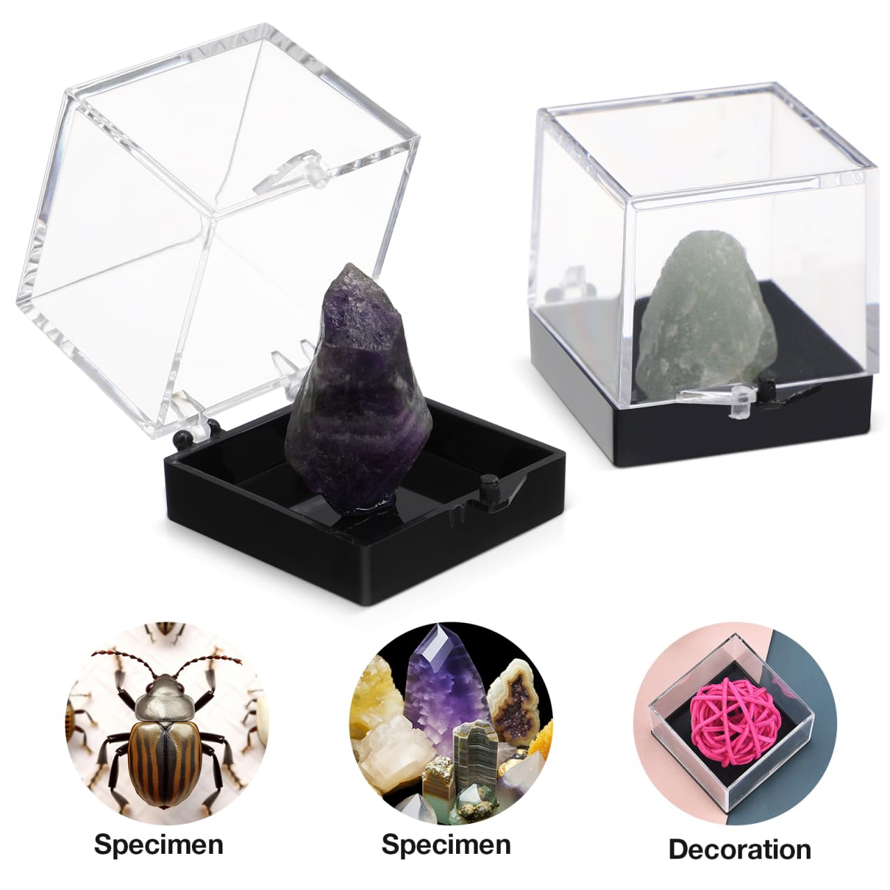 Cabilock 48 Pcs Mineral Specimen Rock Display Case Storage Boxes with Lids 5.51X1.37X1.37In Clear Display Cases for Rock Crystal Collection Organizing and Science Education