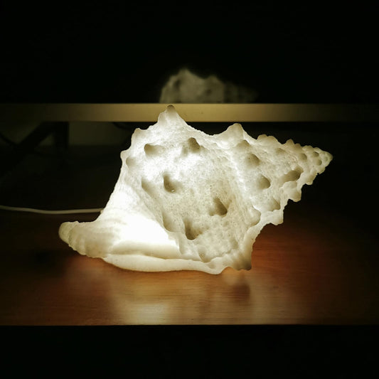 UFAIRV Conch Shell Night Light, Warm White, Sandstone Material