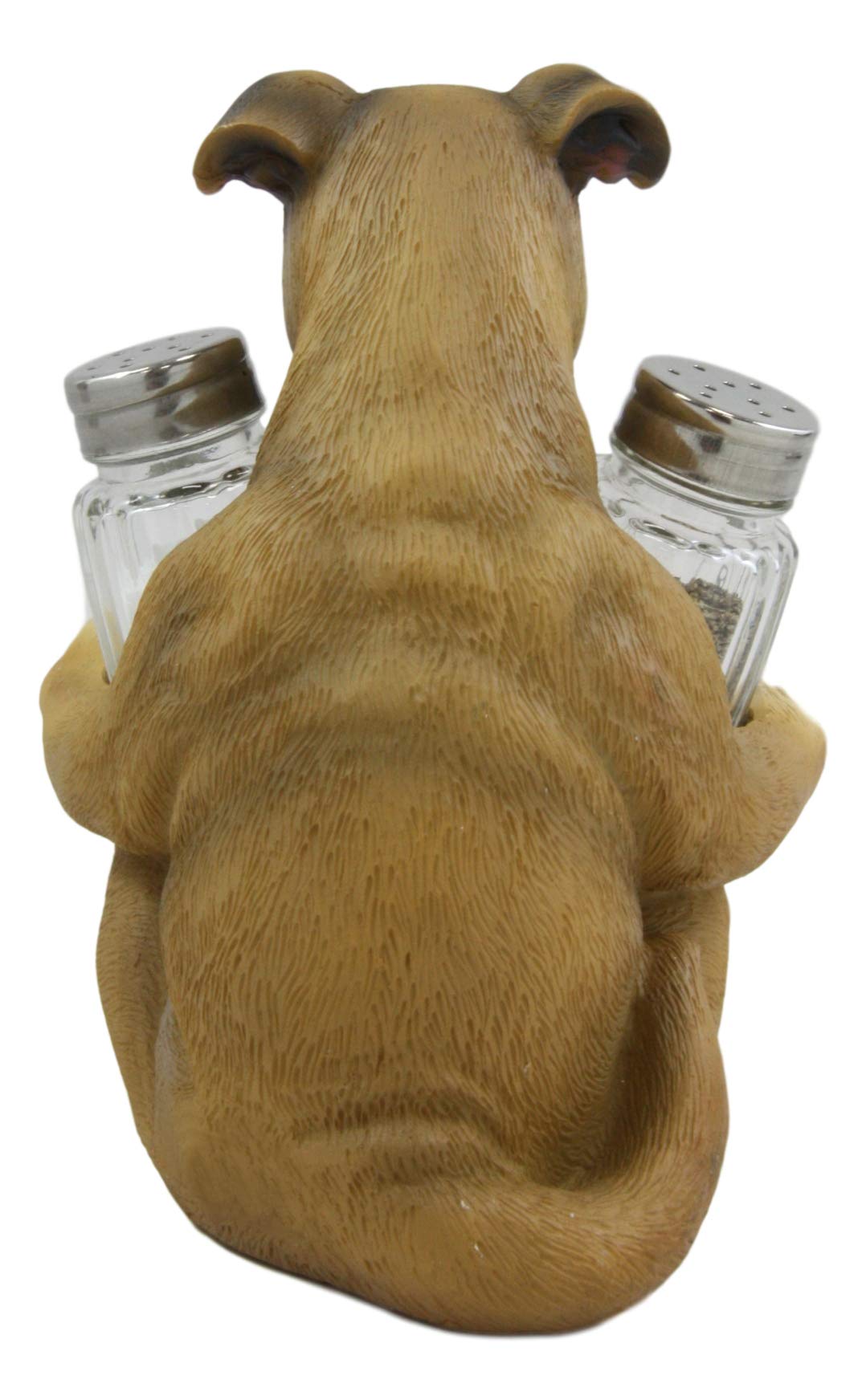 Ebros Gift Realistic Fawn Boxer Puppy Dog Hugging Glass Salt Pepper Shakers Holder Decorative Statue 6.25"High Resin Dogs Boxers Memorial Pets Pet Pal Animal Home Kitchen Spice Organizer Figurine