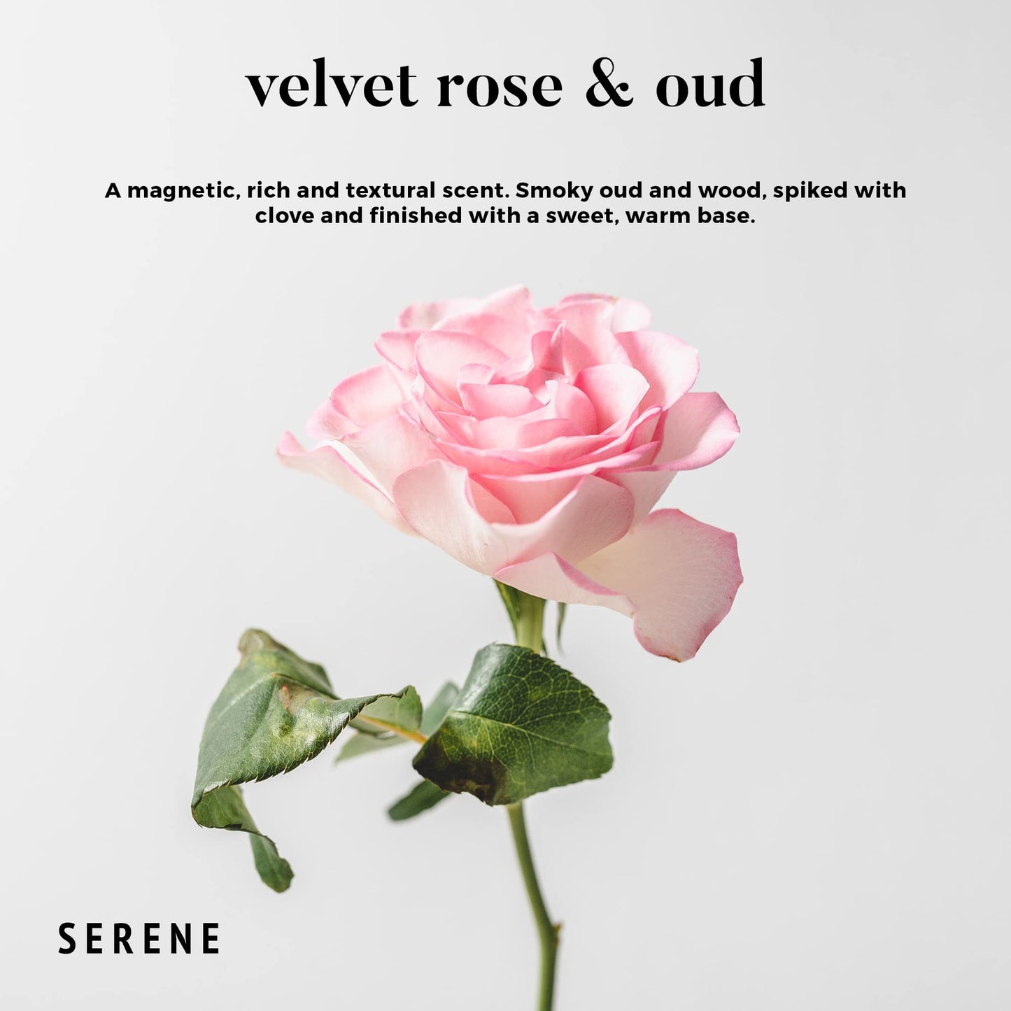 Velvet Rose & Oud Scented Candle, Non Toxic 30oz Large 3-Wick Natural Soy Wax, Up to 100 Hours Slow Burn, Luxury Oriental Home Fragrance, Romantic Bedroom & Gift for Women