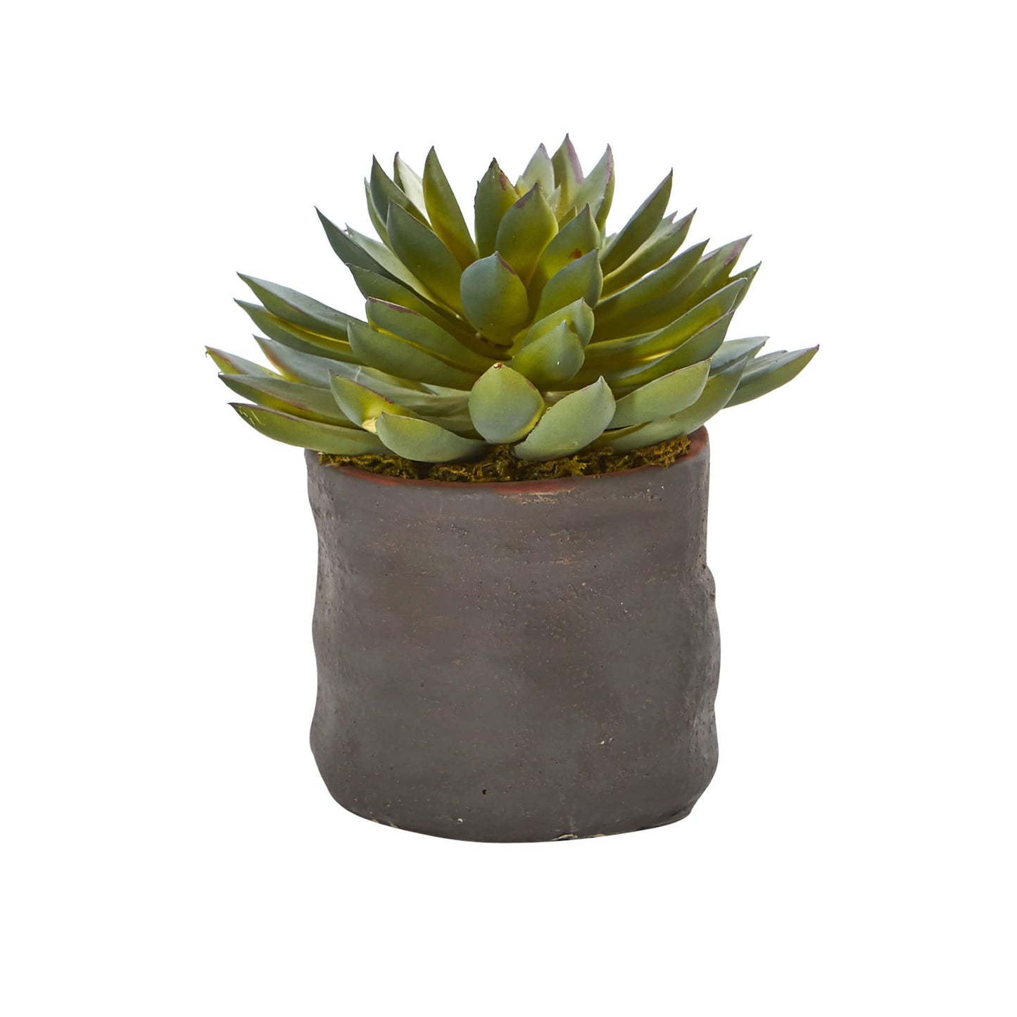 Nearly Natural Mixed Succulent Trio Artificial Plant (Set of 3)