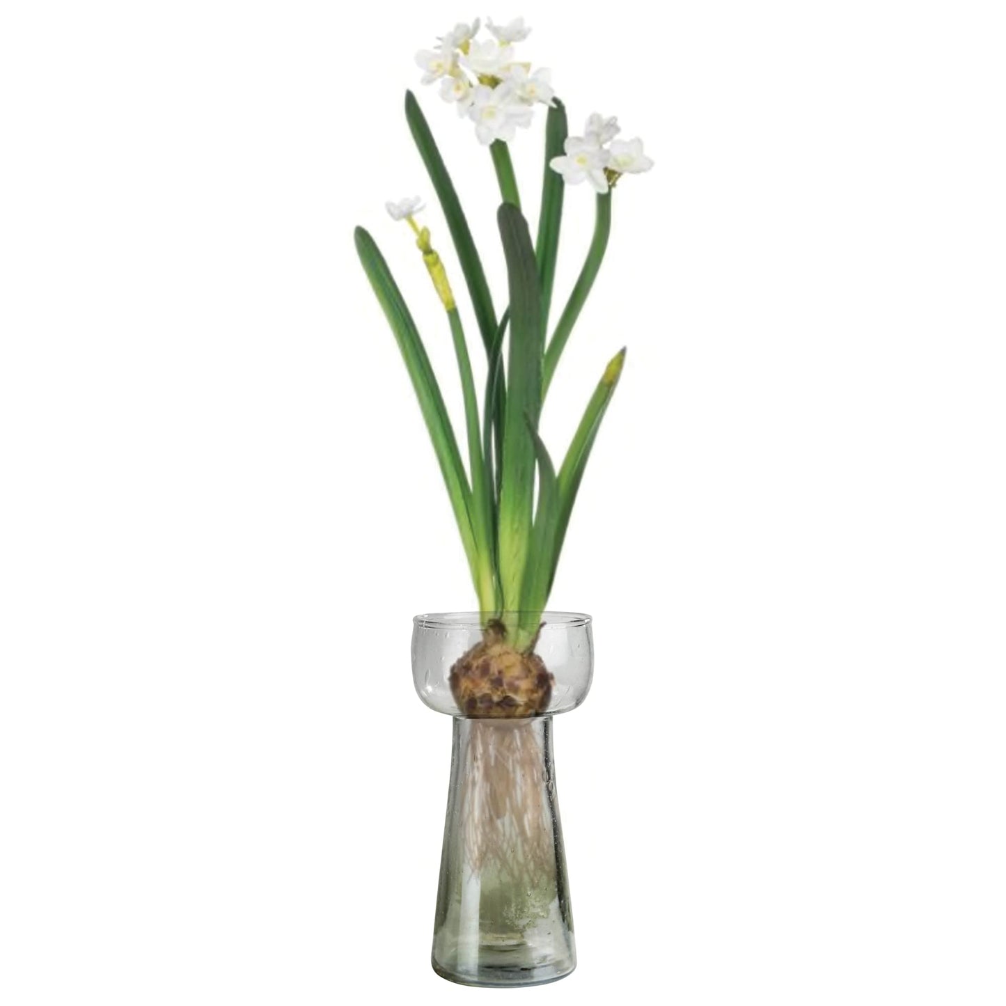 HomArt Lucidia Bulb Decorative Vase, 6.25-inch Height, Glass