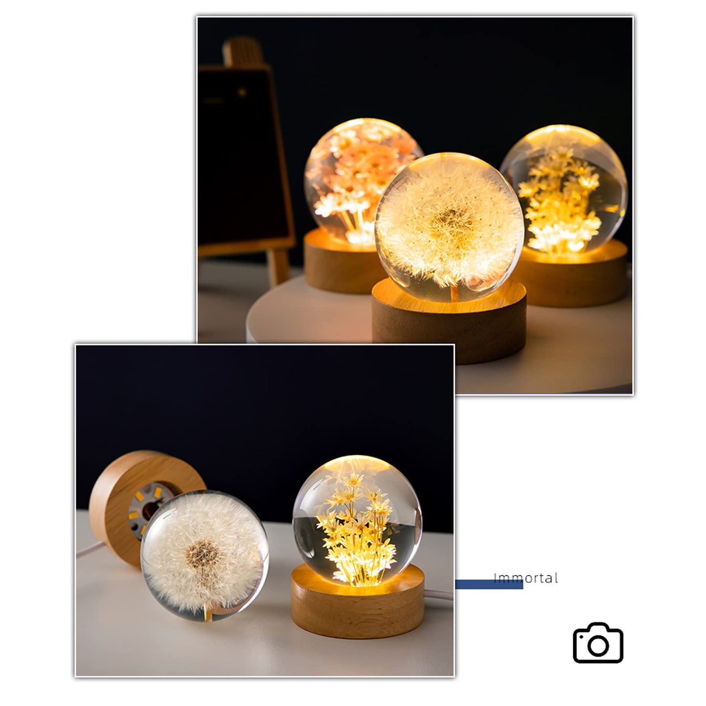MARZIUS Flower Crystal Ball Night Light,2.4 inch Glass Ball Night Lamp with Woodern Base (Dandelion)