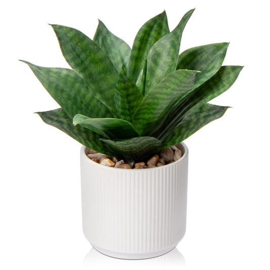 Artificial Agave Succulent Plants Faux Snake Plant Fake Succulent Agave Plant Potted in White Pot Succulent Aloe Plant for Desk Modern Office Living Room Table Shelf Home Indoor Outdoor Decor