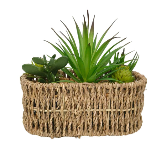Kiko Artificial 18CM Multi Succulents in Woven BASKSET Fake Table Plant Greenery Potted Plants for Office,Gymnasium Room, Living Room, Dinner Room, Shopping mall,Artificial Plant for Indoors