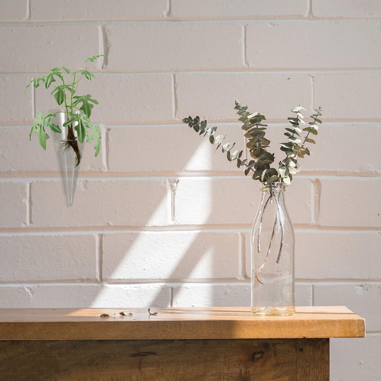 Wakauto Clear Glass Wall Vase Cone Shape Decorative Hanging Planter for Hydroponic Flowers and Greenery Chic Wall Mounted Bud Holder for Home Dorm Office