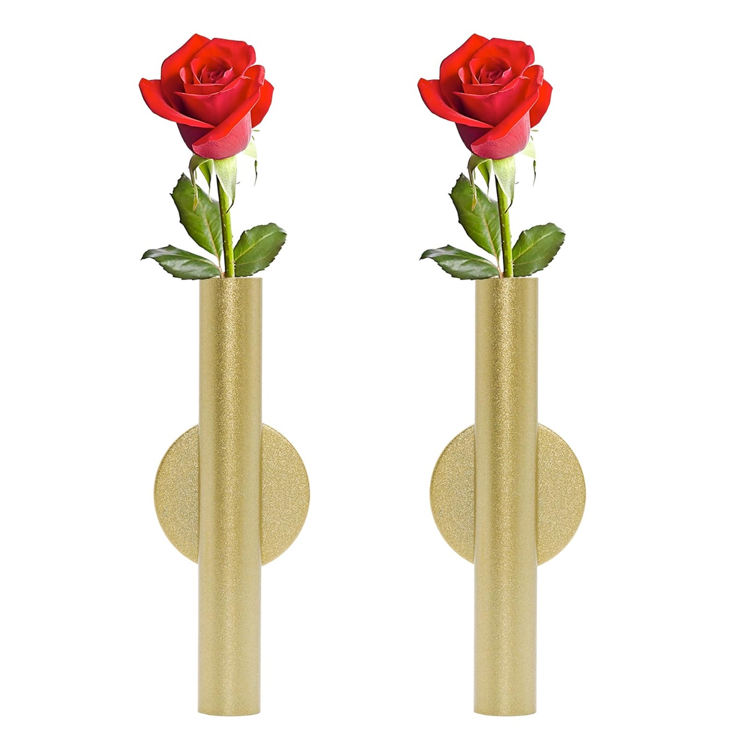 JAKOUE 2PCS Big Gold Wall Vases & Plant Holders | Hanging Tube for Flowers | Indoor Home Decor Wall Art