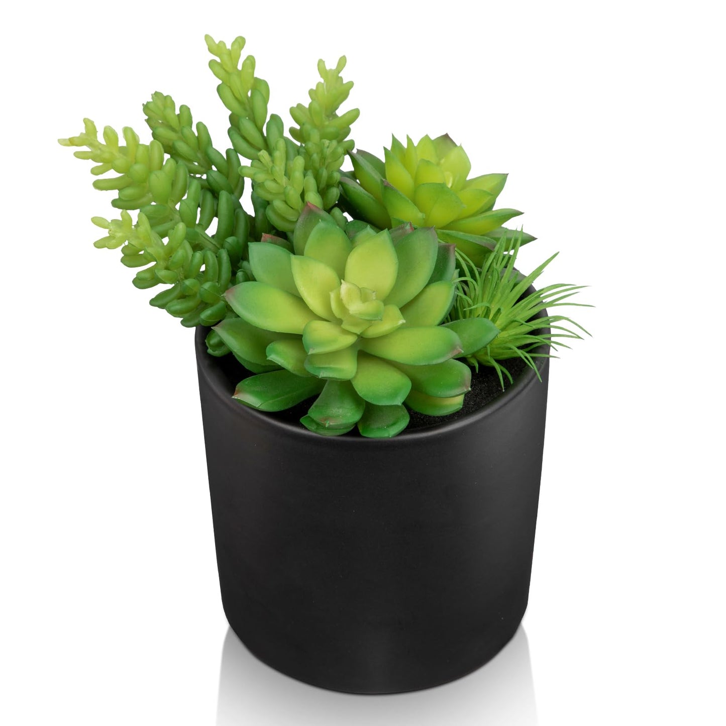Hollyone Artificial Succulents in Pots Faux Succulents Plants Fake Succulent Arrangement Potted Plants with Black Ceramic Vase for Office Desk Bathroom Shelf Living Room Indoor Home Decor